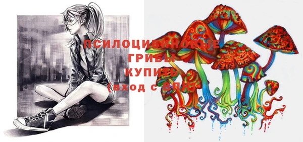 прущая мука Осинники