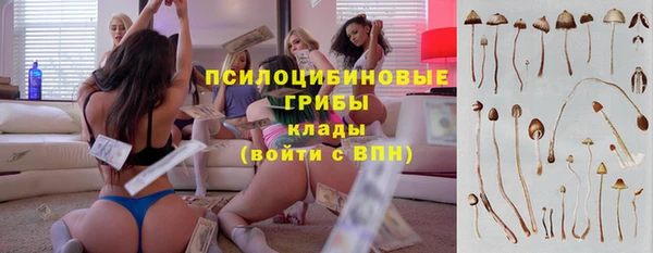 прущая мука Осинники
