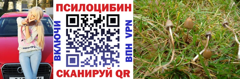 Галлюциногенные грибы мухоморы  Купить  Шацк 